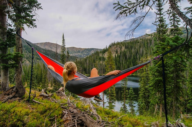 Immersed in Tranquility: Embracing Nature’s Beauty from the Hammock Haven