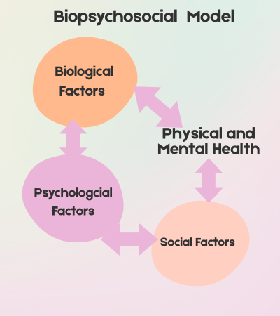 Biopsychosocial Model to Health and Illness