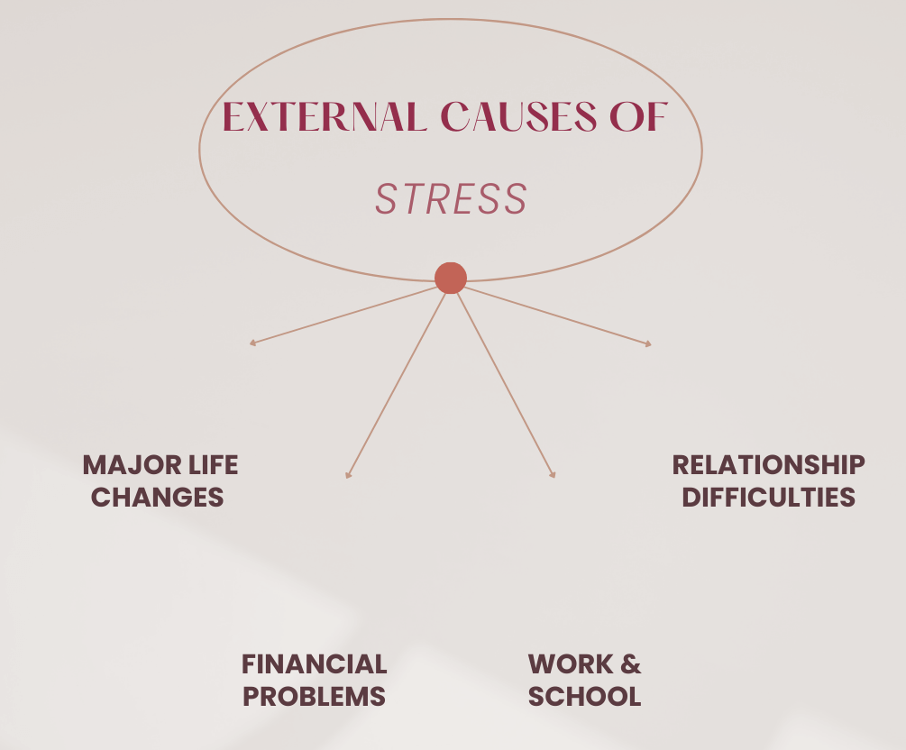 Causes of stress 
External causes of stress 